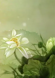 结亲最新章