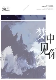 梦中见你最新章