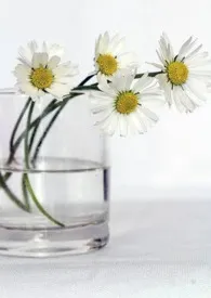 催眠与被催眠最新章