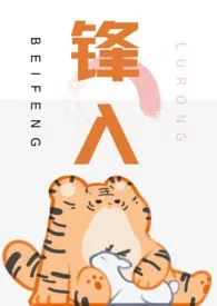 锋入(糙汉1v1)