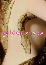 金蛇（FUTA 女同 ABO）