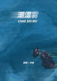 潮湿雾(1V1)