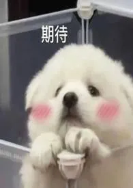 侥幸（骨科）