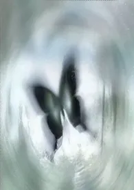 落网1V1