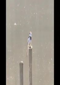 述而