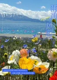 雨涌风起(强制 nph)