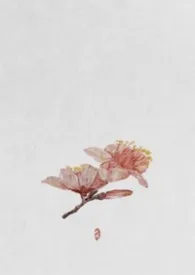 红蓼（古言1v1）