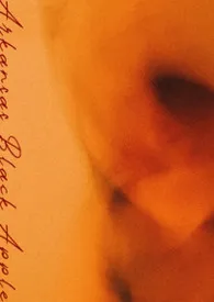 阿肯色黑苹果(伪骨/np)