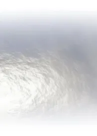 被疯批天龙人盯上了怎幺办？NP