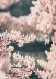 三春之桃(短篇合集)