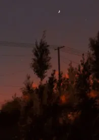 他甘愿（真骨/兄妹/1v1h）