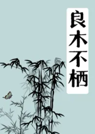 良木不栖(1v1 伪叔侄)
