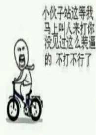 平凡，谎言和一间永远有人敲门的屋子 (nph)