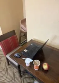 野狗脱缰