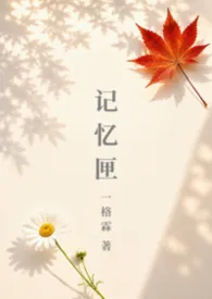 记忆匣(兄妹)