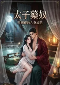 太子药奴:月圆夜的九重沦陷(高H)